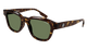 HAVANA  GREEN    2 / 50