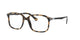YELLOW TORTOISE   1056 / .