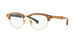 MARRONE   5561 / .