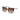 BVLGARI  8247B - Dayal Opticals   