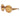 Gucci 0954S Shiny Transparent Sand Beige 005, Sunglasses – Dayal Opticals