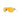 OAKLEY  0OO9098 - Dayal Opticals   