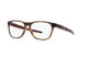SATIN  BROWN  TORTOISE    817705 / 54