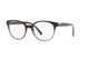 HAVANA GRADIENT GREY   C7O1O1 / .