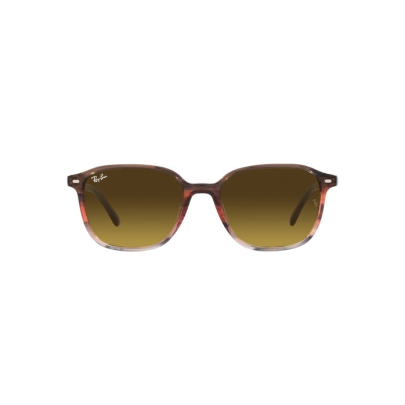 RAY BAN 0RB 2193 – Dayal Opticals