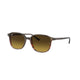 BROWN & RED   138085 / 53