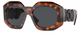 TORTOISE  521787 / 56